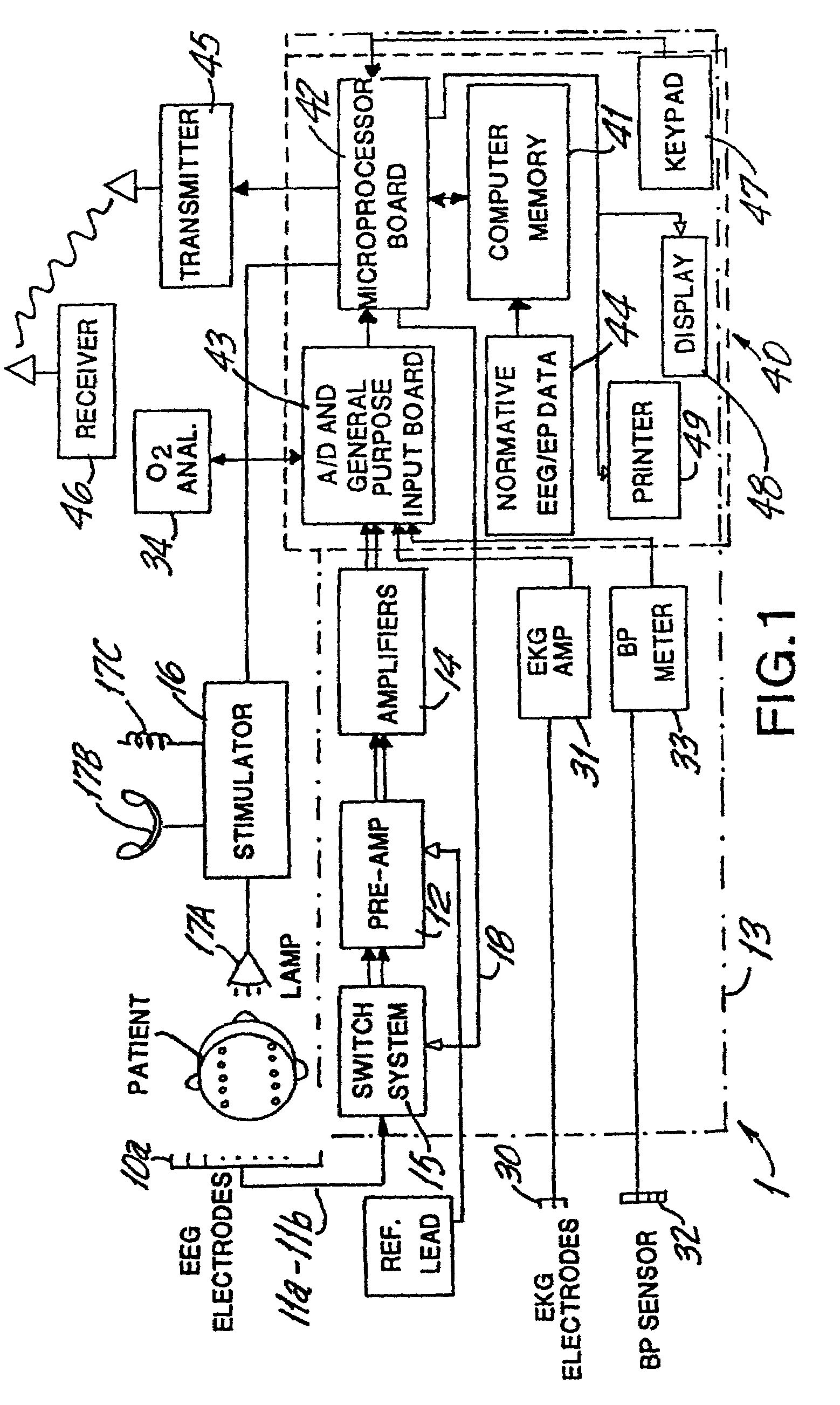 Brain function scan system