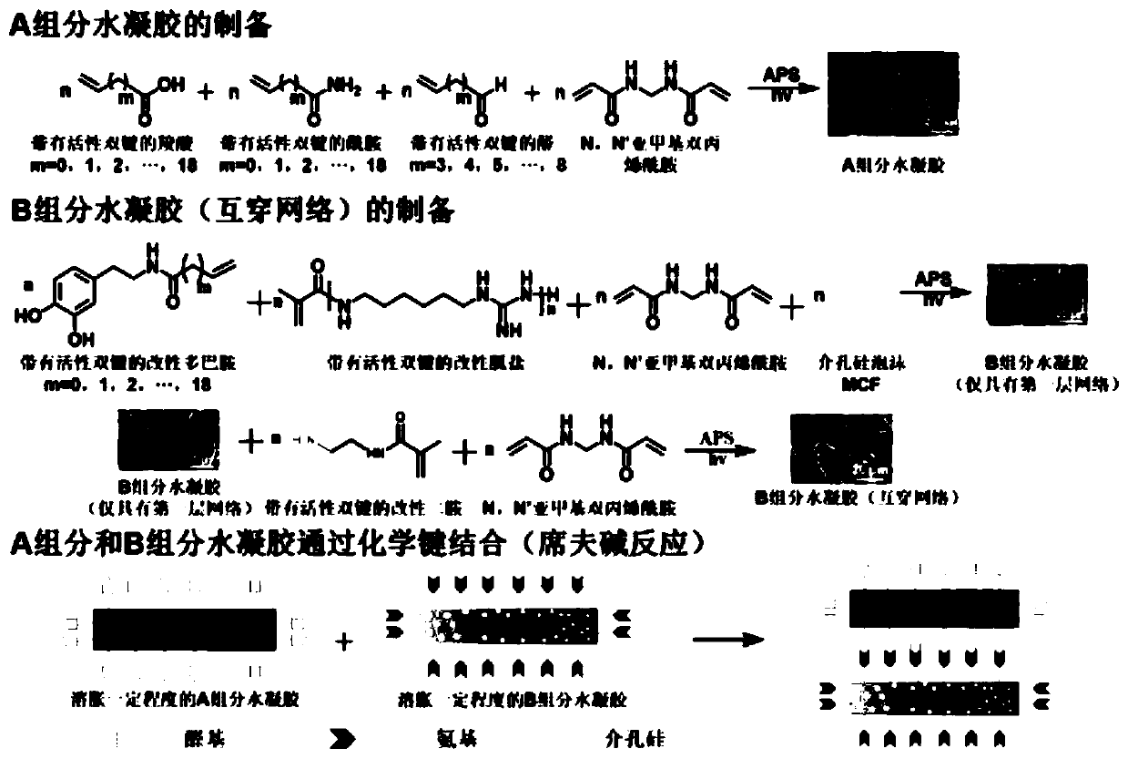 Antibacterial and hemostatic multifunctional composite hydrogel dressing and preparation method thereof