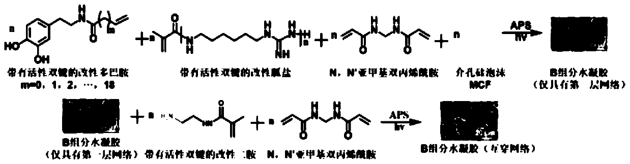 Antibacterial and hemostatic multifunctional composite hydrogel dressing and preparation method thereof