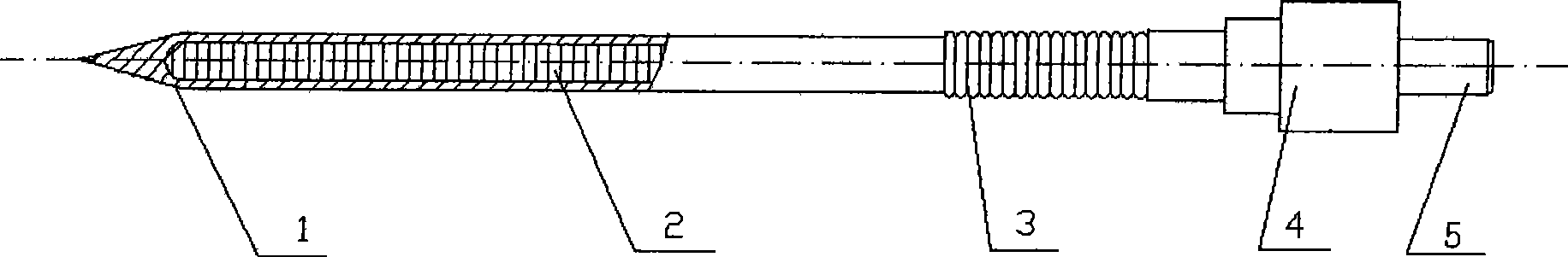 Curing needle for parenchyma inner heat