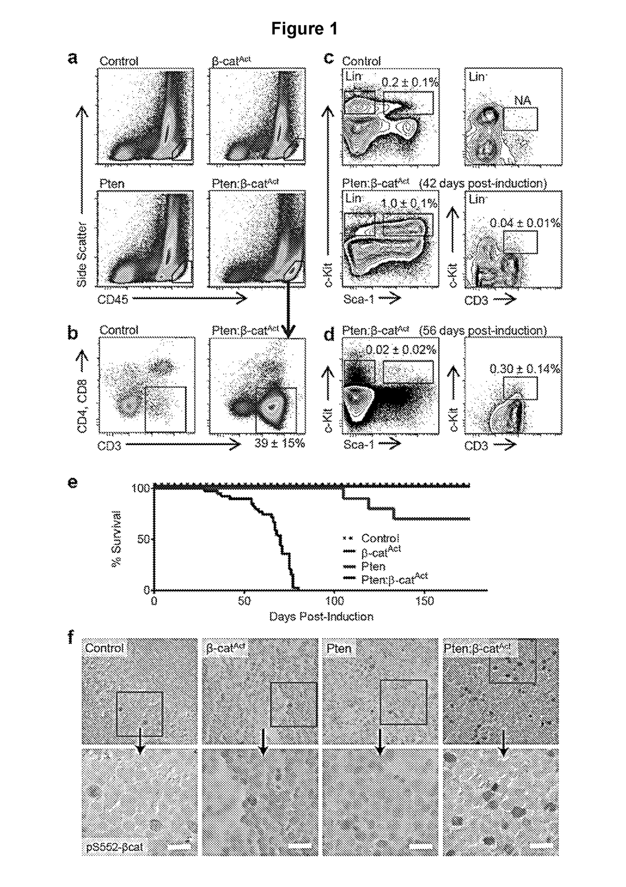 Methods for treating chemoresistant cancer-initiating cells