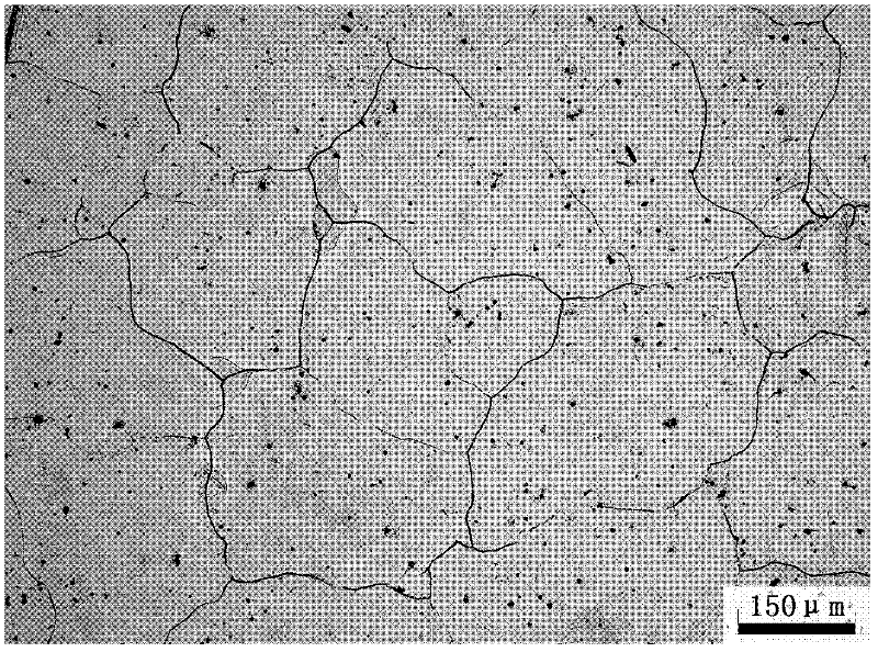 Method for compositely refining AZ31 magnesium alloy crystal particles by ultrasound field and refining agent