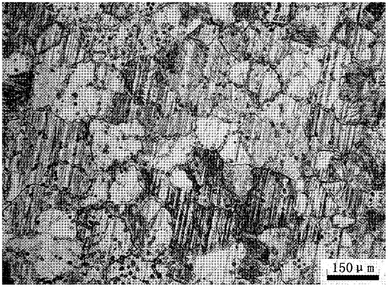 Method for compositely refining AZ31 magnesium alloy crystal particles by ultrasound field and refining agent