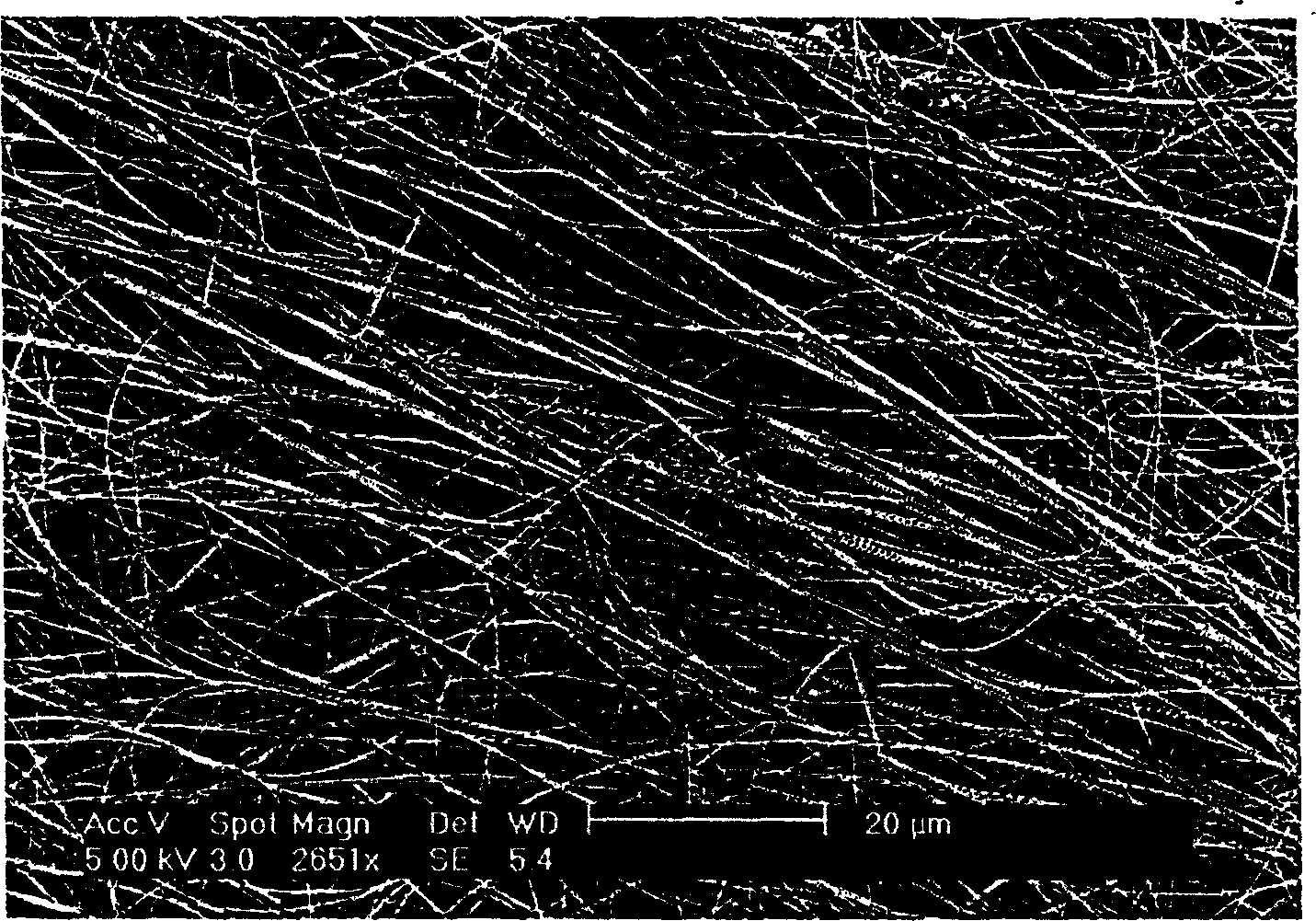 Liquid phase method for synthesizing one-dimensional super long Nano line of metal copper