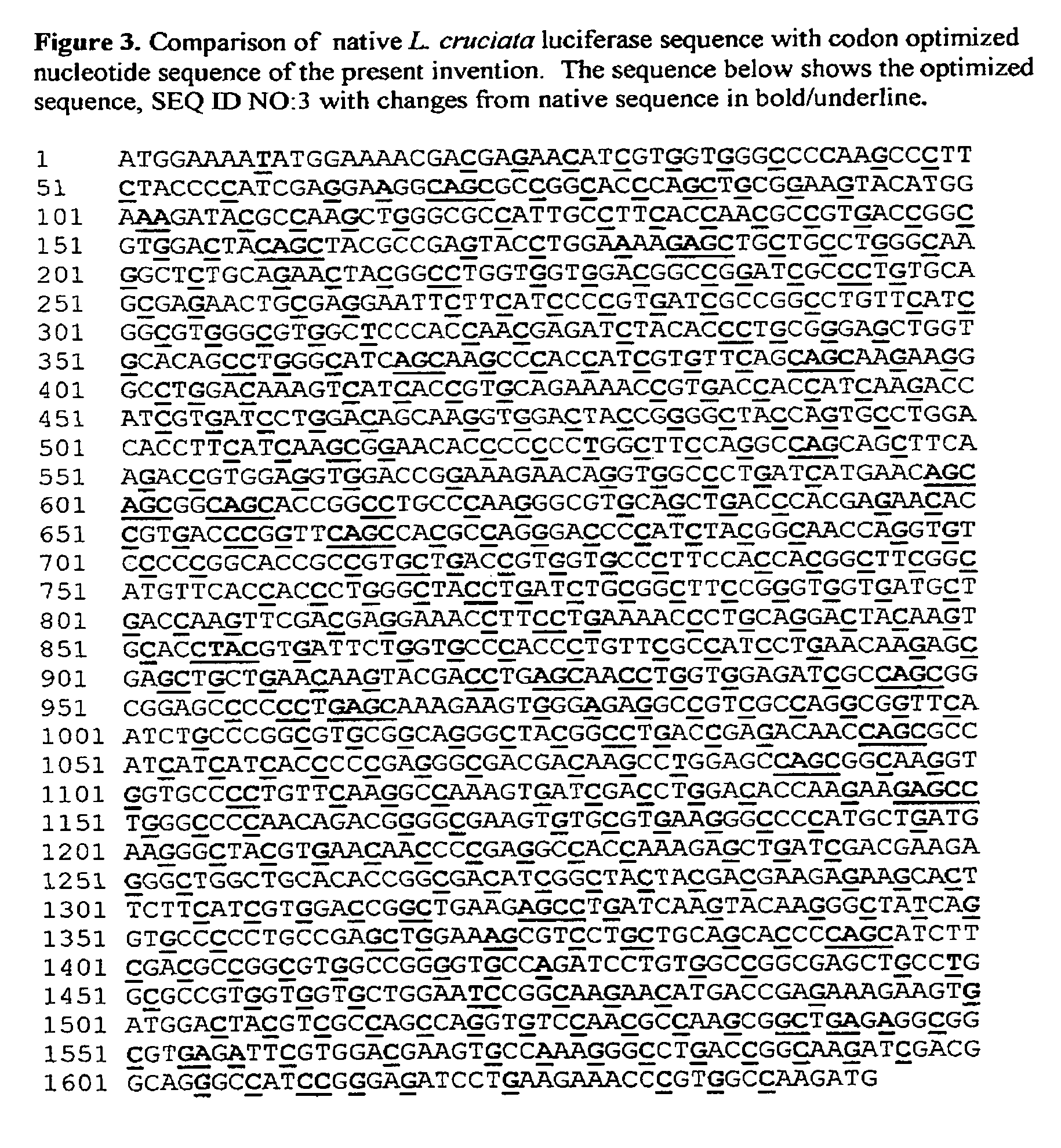 Modified Luciola cruciata luciferase gene and protein