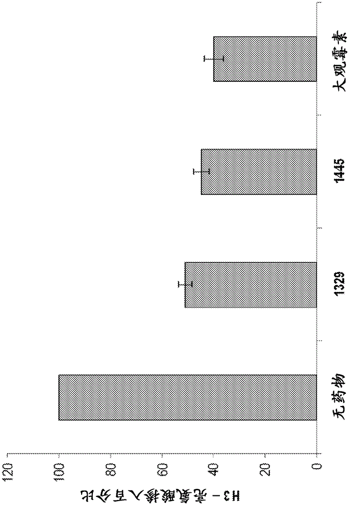 Spectinomycinamide as an anti-tuberculosis agent