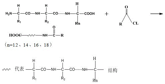 Collagen foaming agent, compound modified collagen foaming agent and their preparation methods