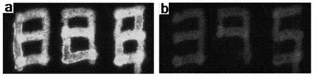 Carbon nano-dot, and preparation method and application thereof