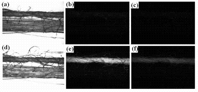 Carbon nano-dot, and preparation method and application thereof