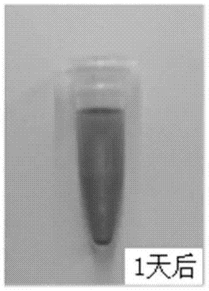 High-dispersion-carbon-nanotube photoacoustic contrast agent and preparation method thereof