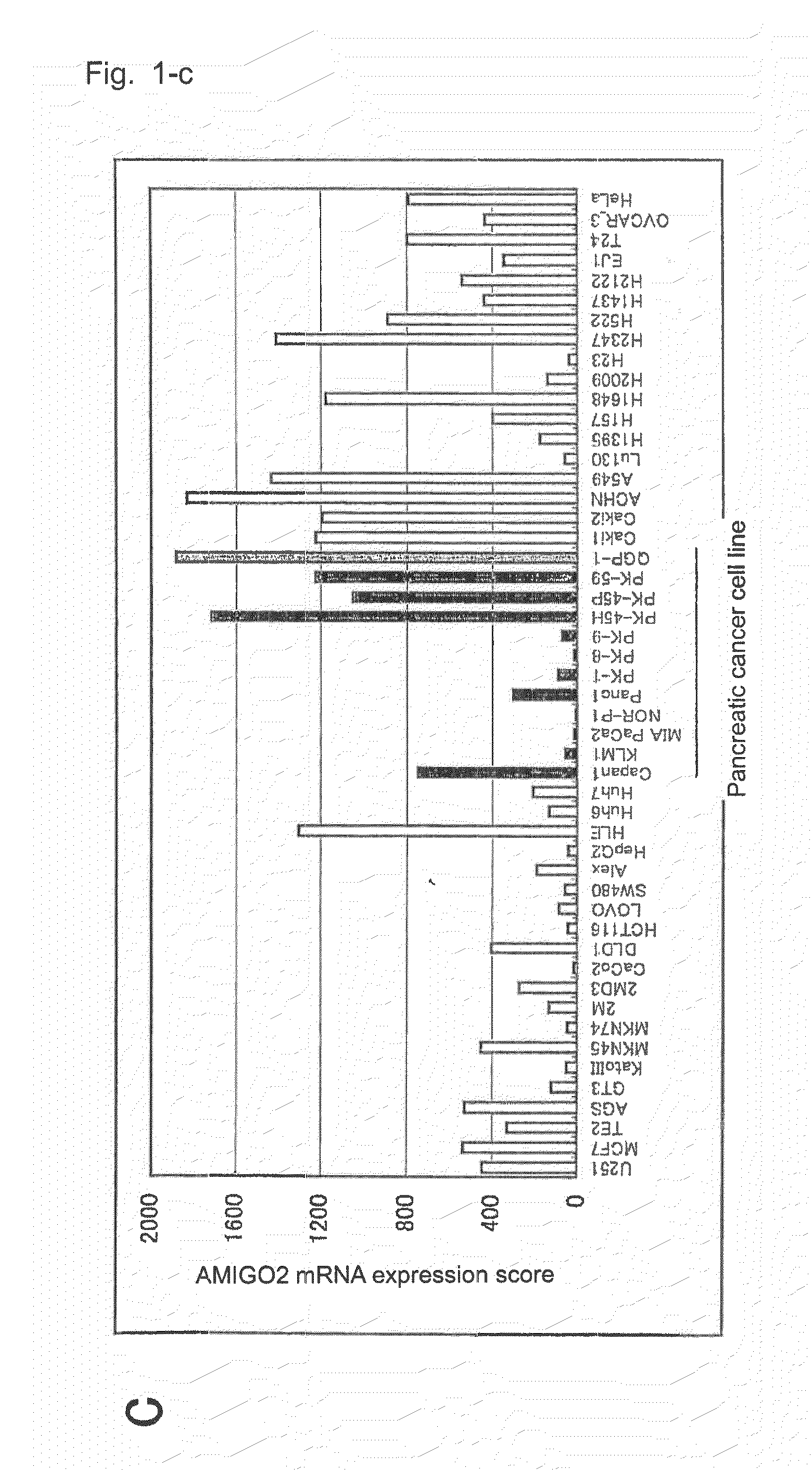 Diagnostic agent and therapeutic agent for pancreatic cancer