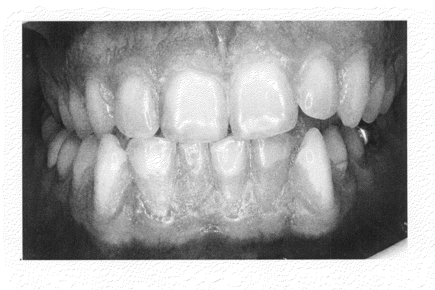 Sustained Release Dosage Forms For Delivery of Agents to an Oral Cavity of a User