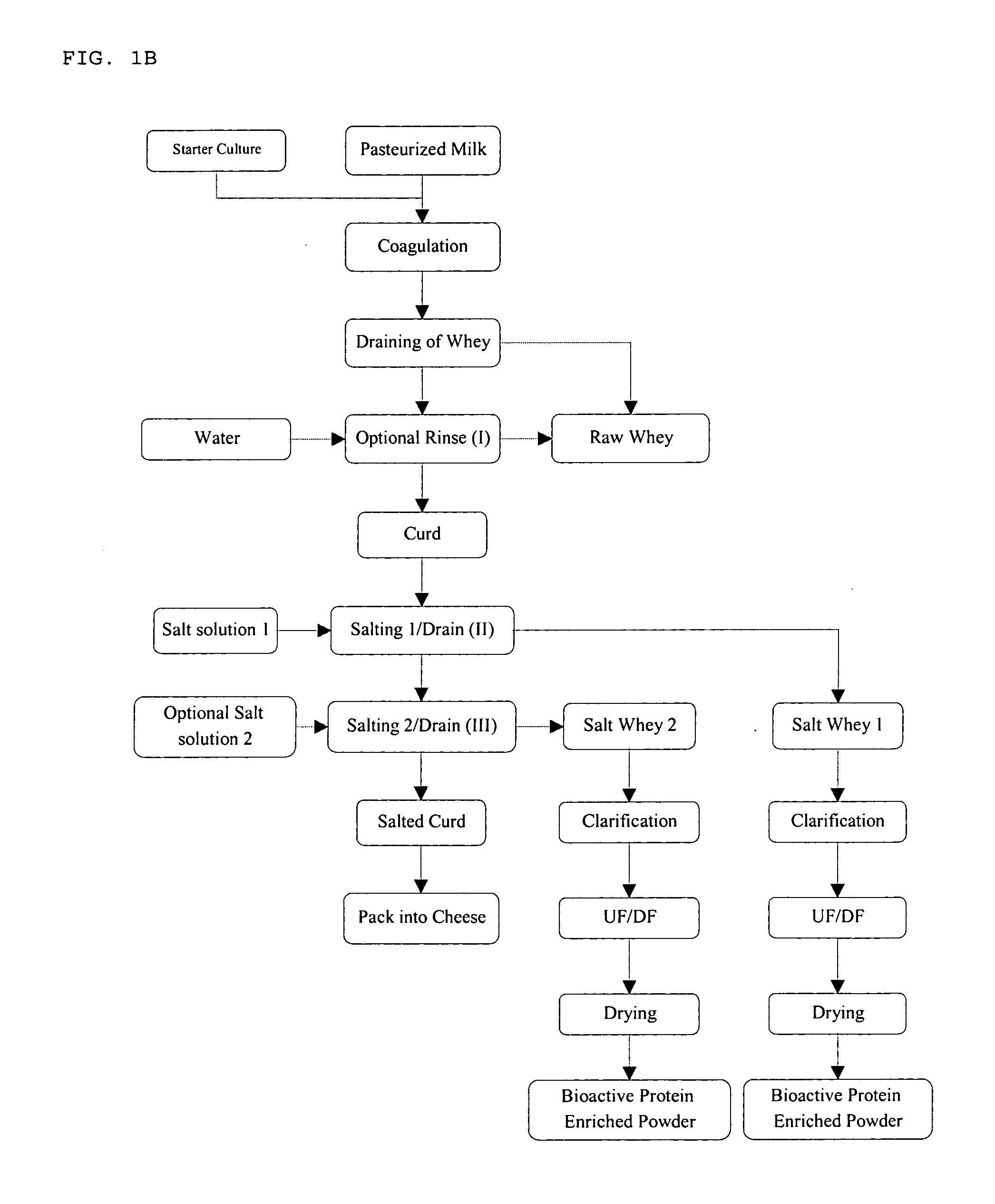 Process for preparing bioactive protein-enriched whey products