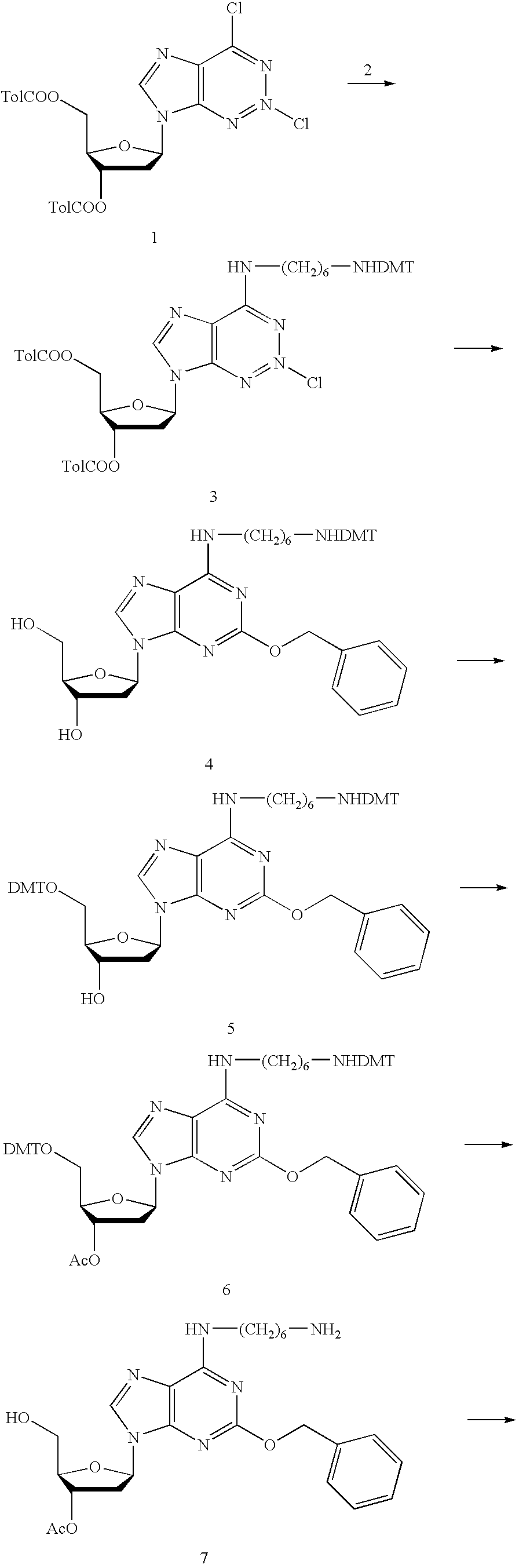 Solid support assay systems and methods utilizing non-standard bases