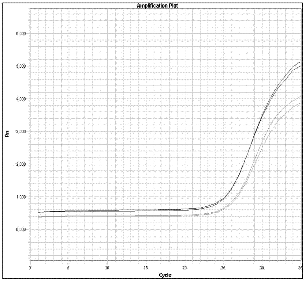 Culture medium and culture method for breeding transgenic maize