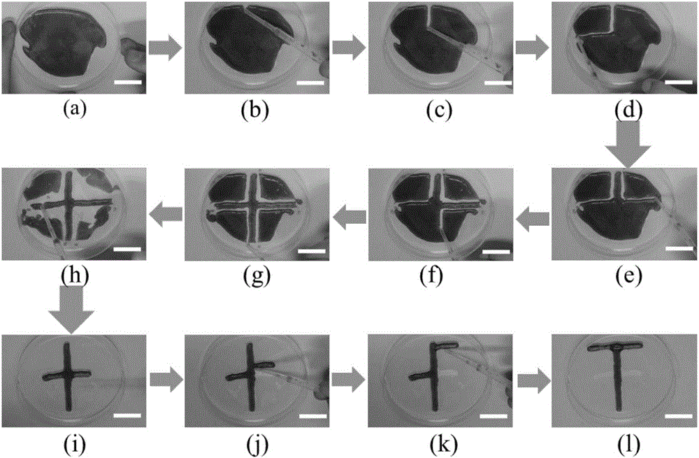 Method for preparing liquid plasticine and plasticine molding method