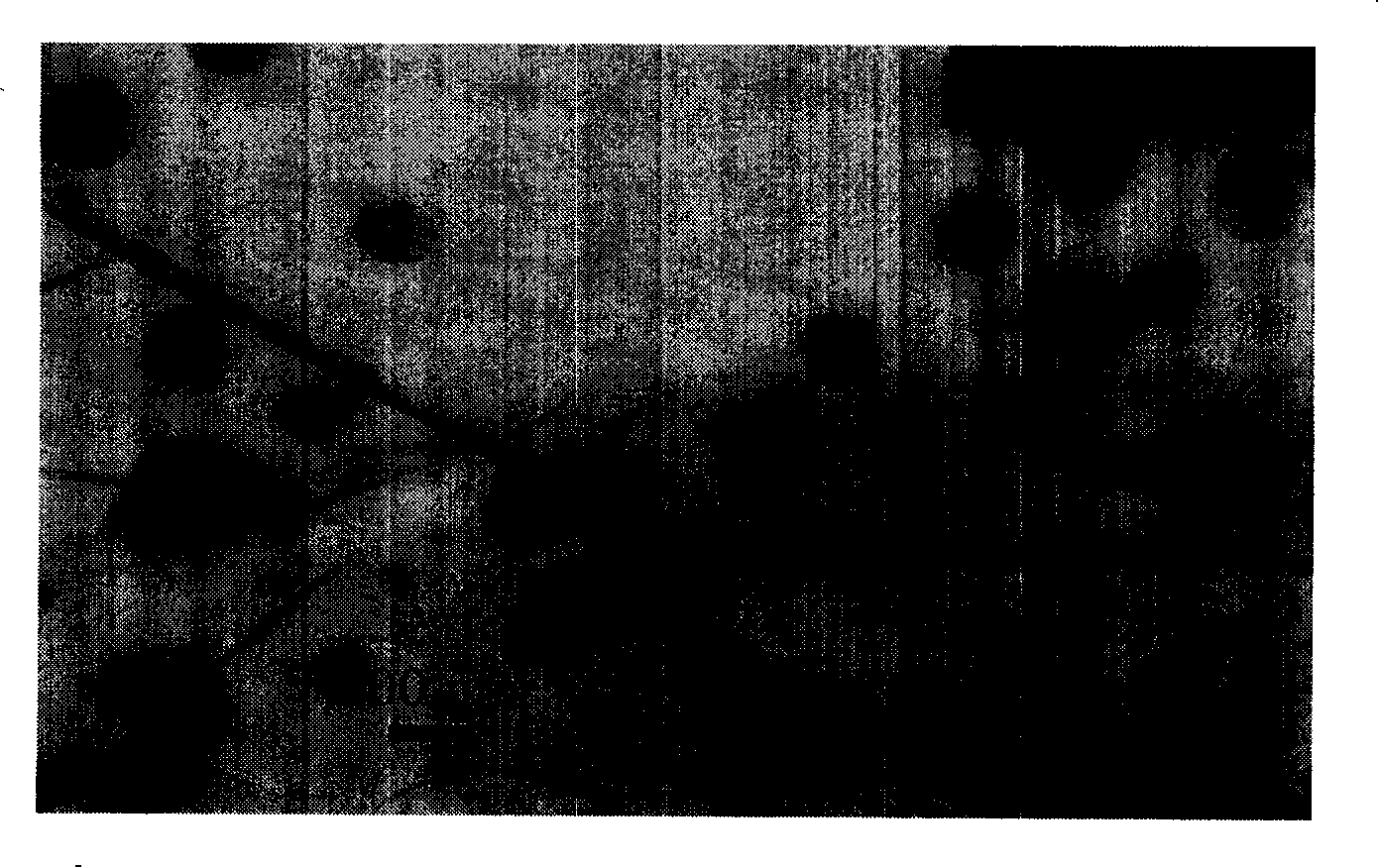 Method for preparing electromagnetic shielding light graphite based nanometer magnetic metal composite material