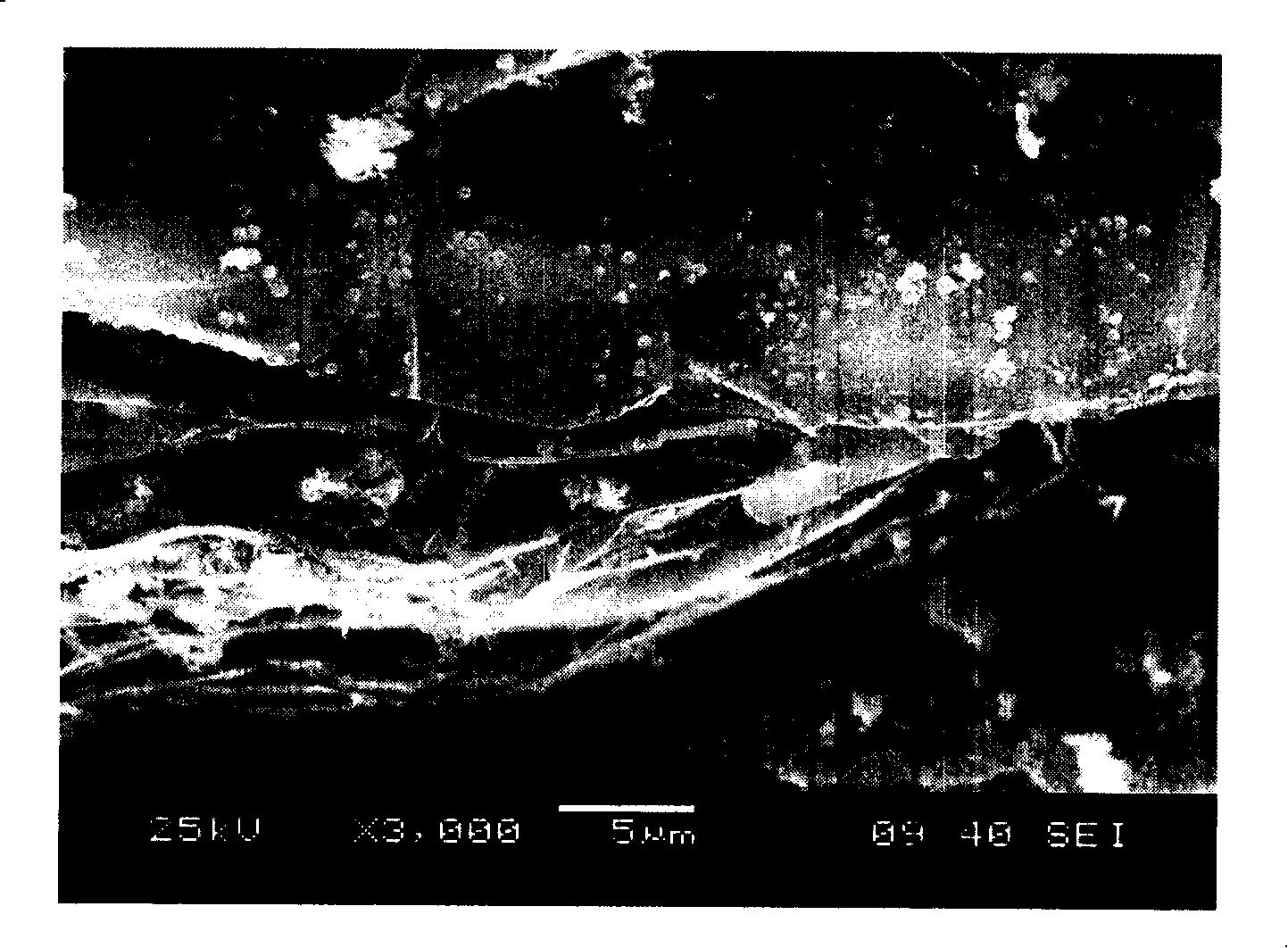 Method for preparing electromagnetic shielding light graphite based nanometer magnetic metal composite material