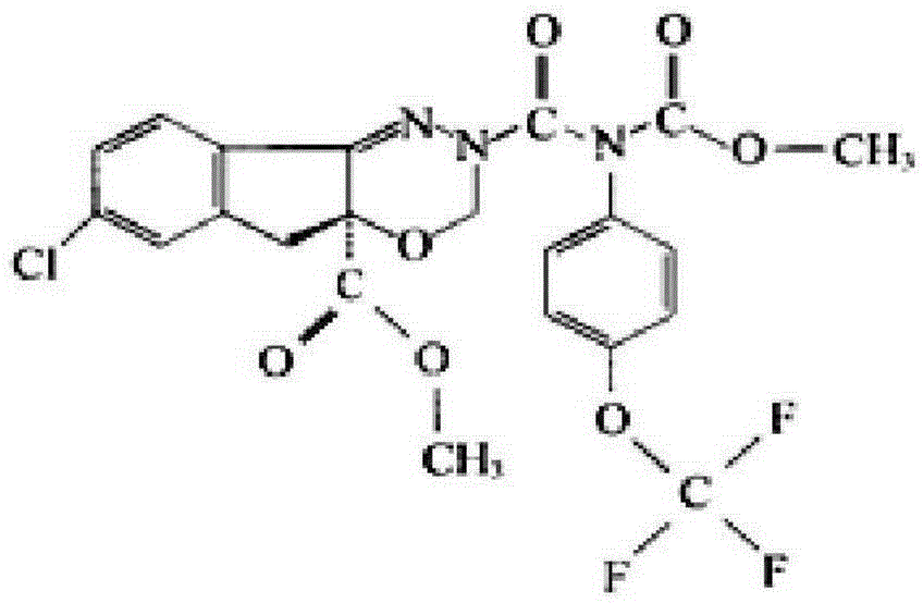 Insecticidal composition containing indoxacarb and cycloxaprid