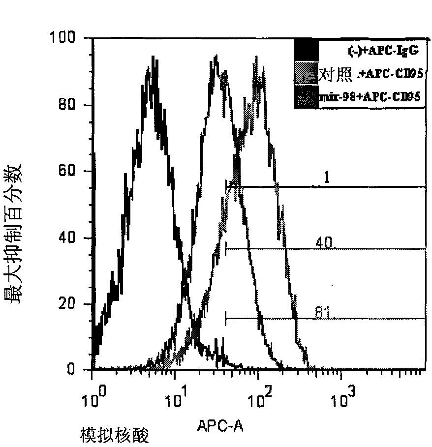 Application of let-7/miR-98 family in preparation of medicament for treating disease related to FAS (Fatty Acid Synthase) gene