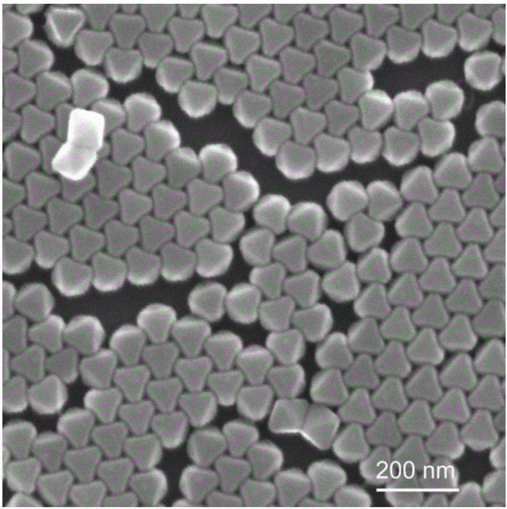 Gold nano-particle cup, gold nano-particle bottle and preparation method of gold nano-particle cup and gold nano-particle bottle