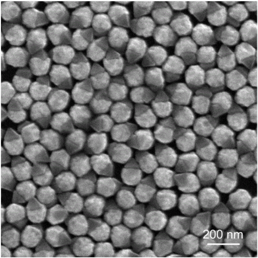 Gold nano-particle cup, gold nano-particle bottle and preparation method of gold nano-particle cup and gold nano-particle bottle