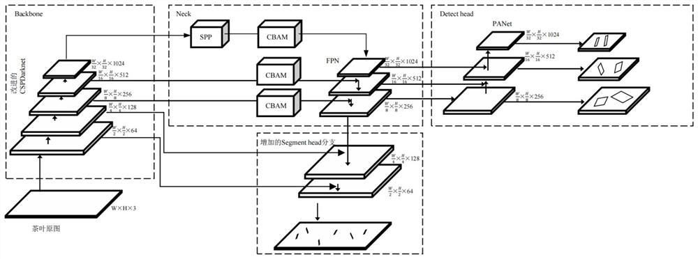 Improved YOLOv5 target detection model construction method and method for identifying tea tender shoots and positioning picking points