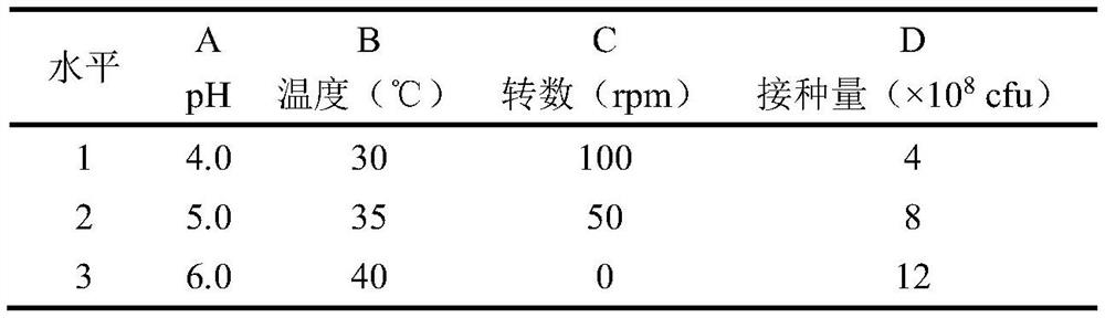 Small-leaf lactobacillus latifolius fermented tea and preparation method thereof