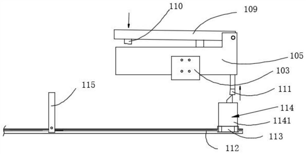 Shrimp processing method and processing device