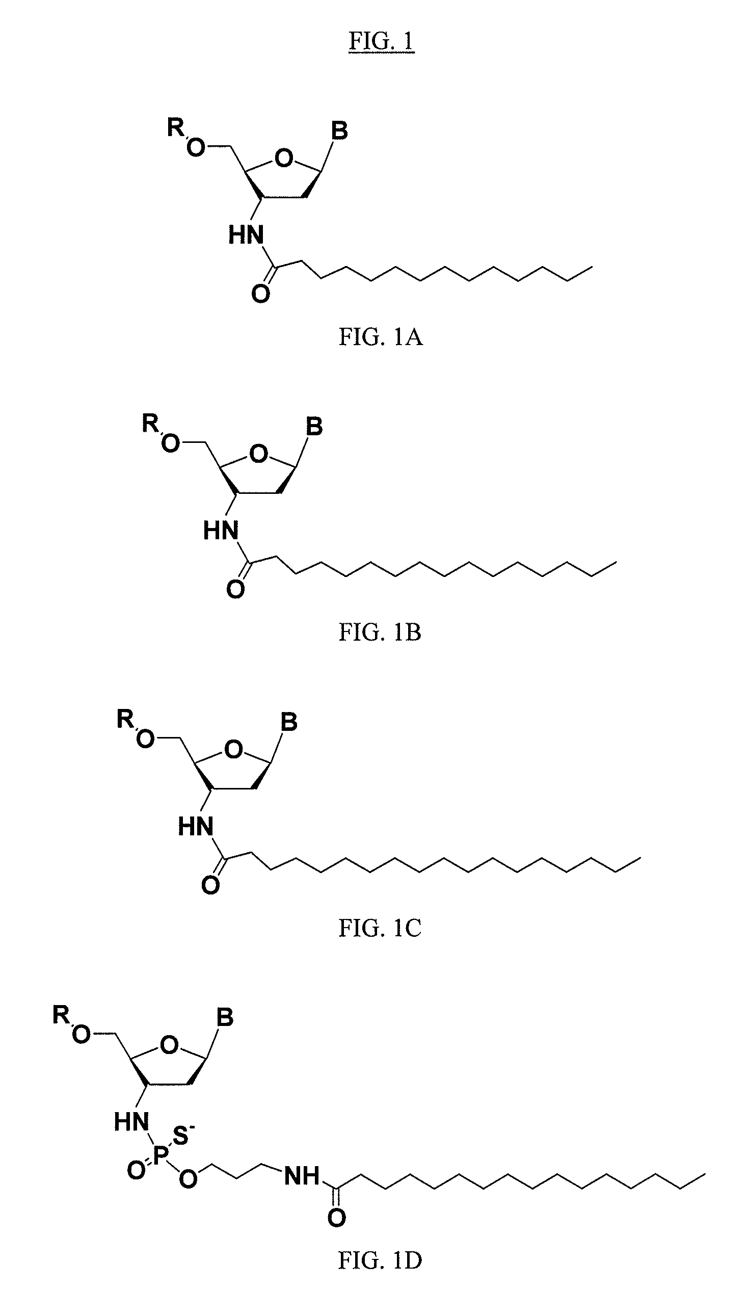 Modified oligonucleotides for telomerase inhibition