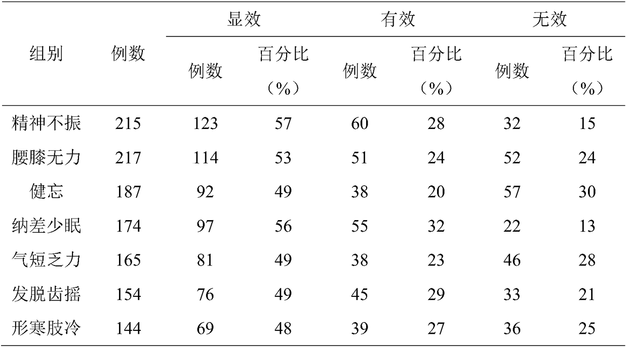 Composition for improving body circulation and delaying aging, and application thereof