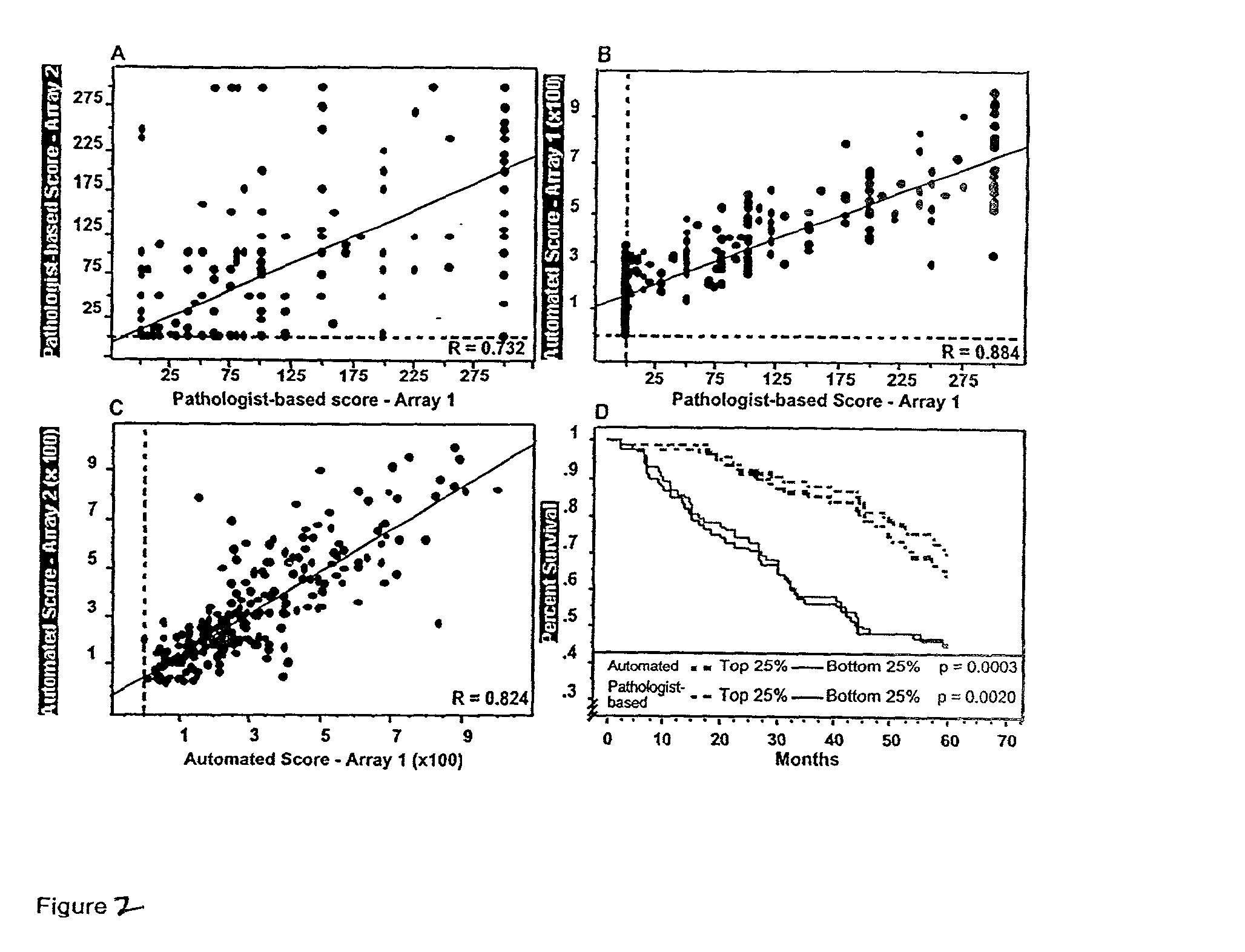 Systems and methods for automated analysis of cells and tissues