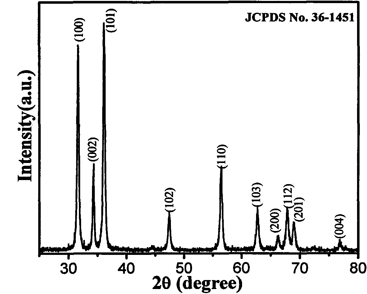 Preparation method for two-dimensional ultrathin mesh-shaped ZnO nano photocatalyst