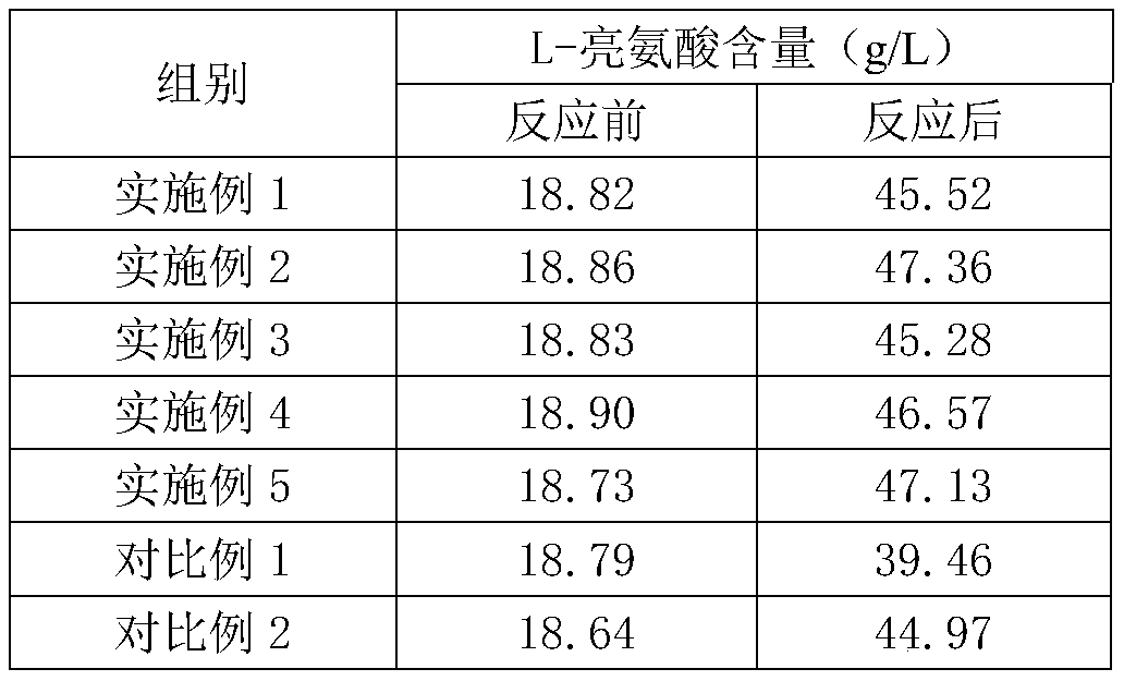 A kind of fermentation and separation and purification method of L-leucine