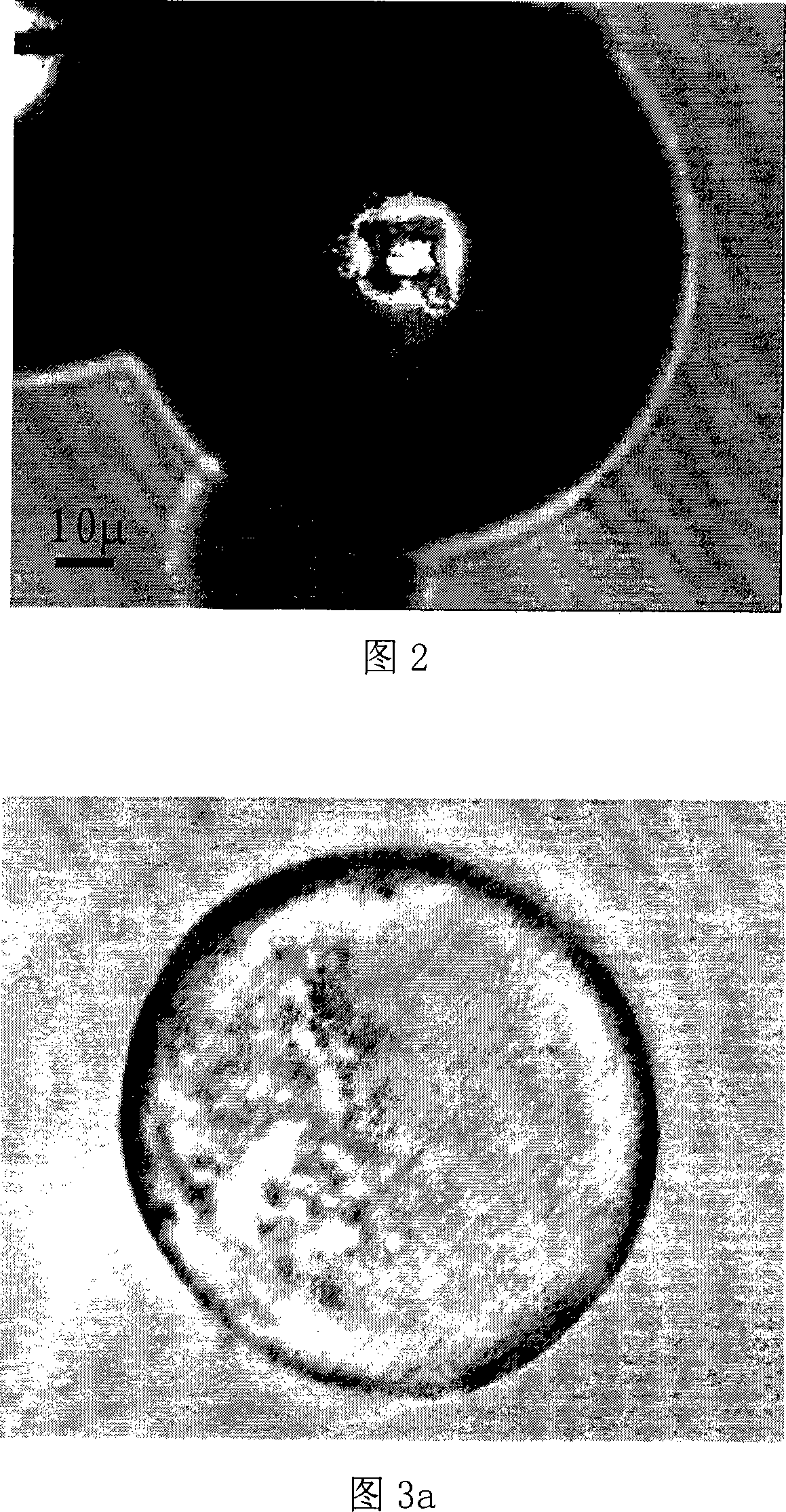 Multifunctional optical micro-control device