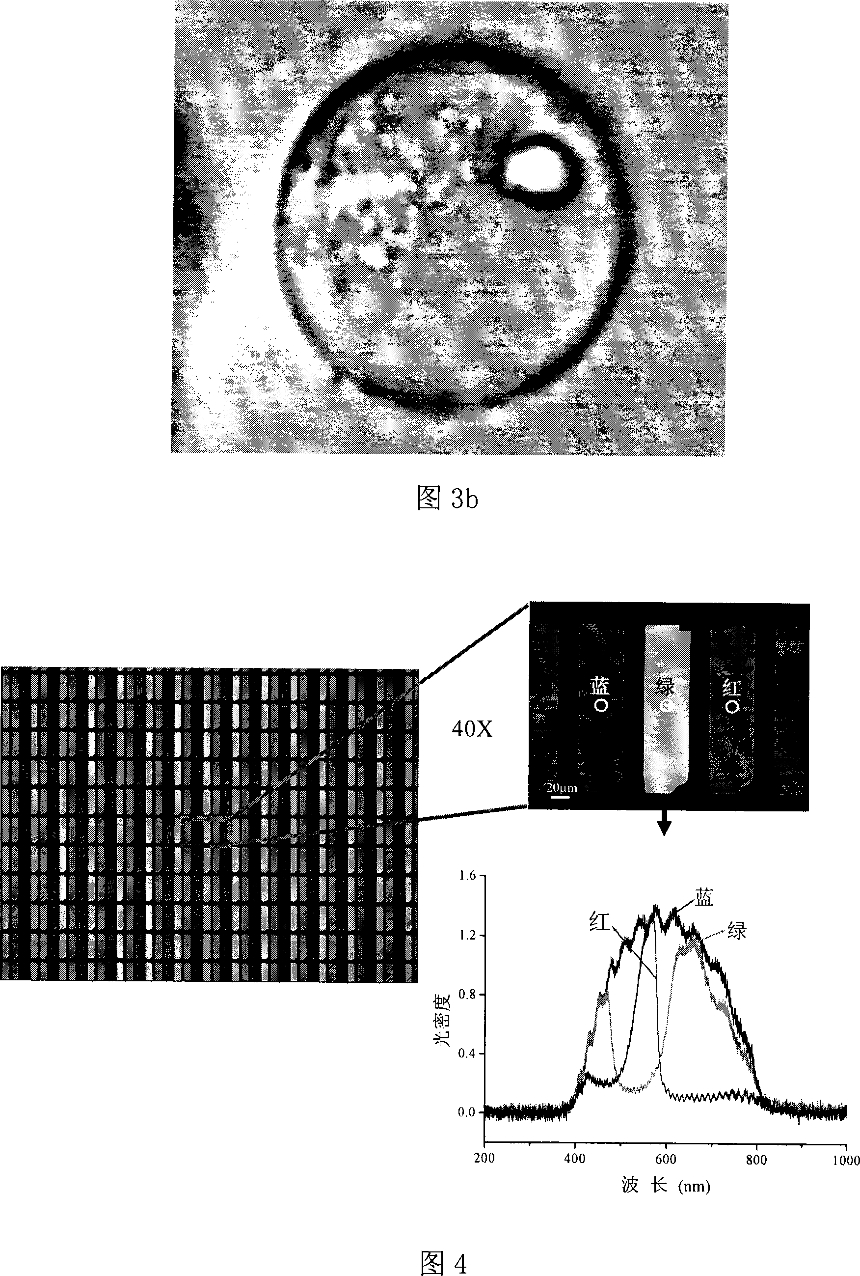 Multifunctional optical micro-control device