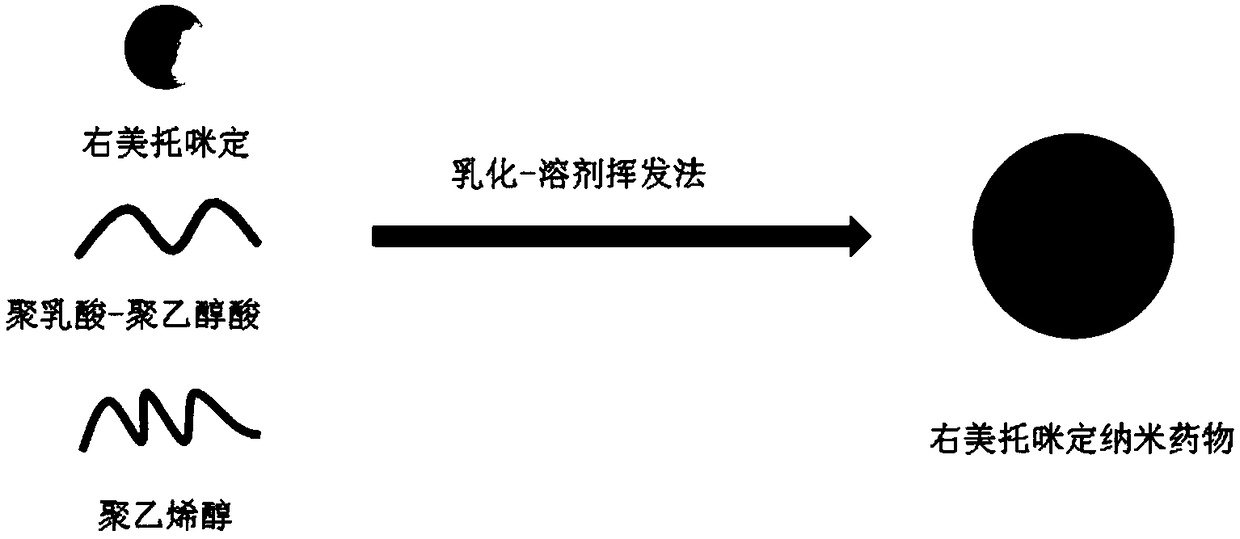 Dexmedetomidine nano preparation and preparation method thereof