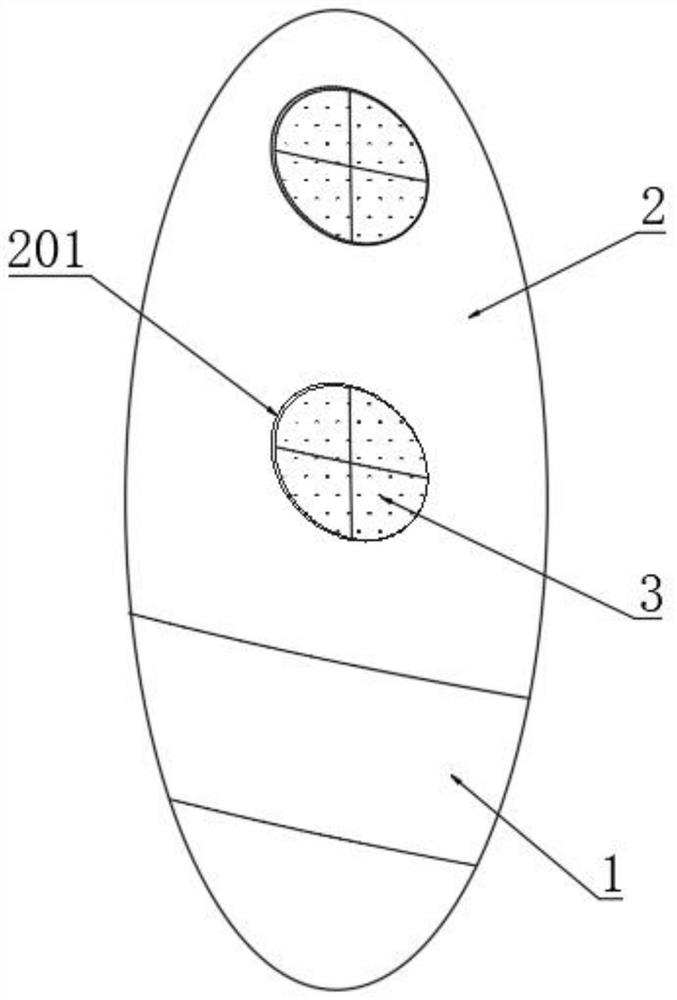 Air-entraining self-balancing type unmanned aerial vehicle