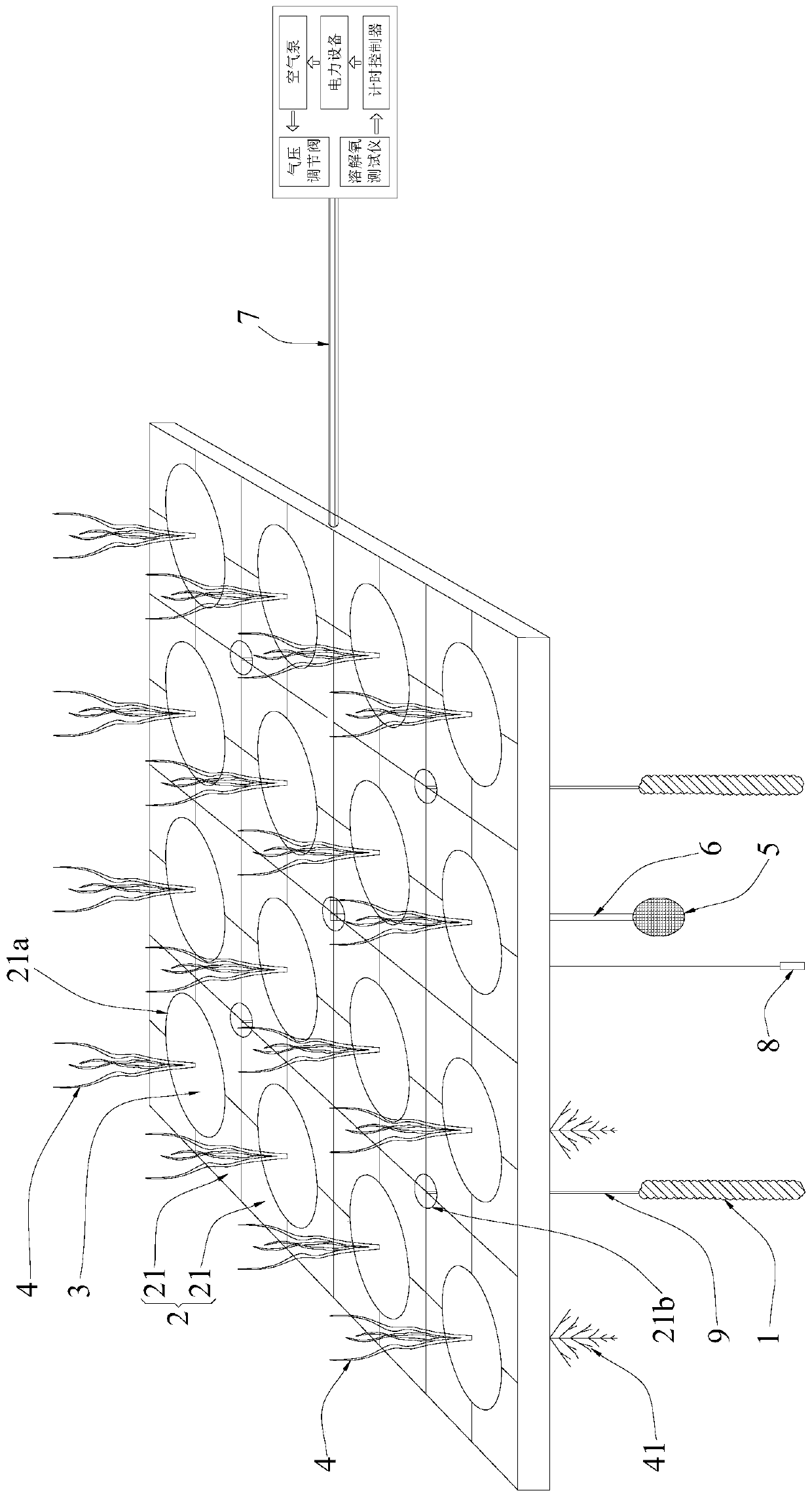 A biological rope and a multifunctional ecological floating island device using the biological rope