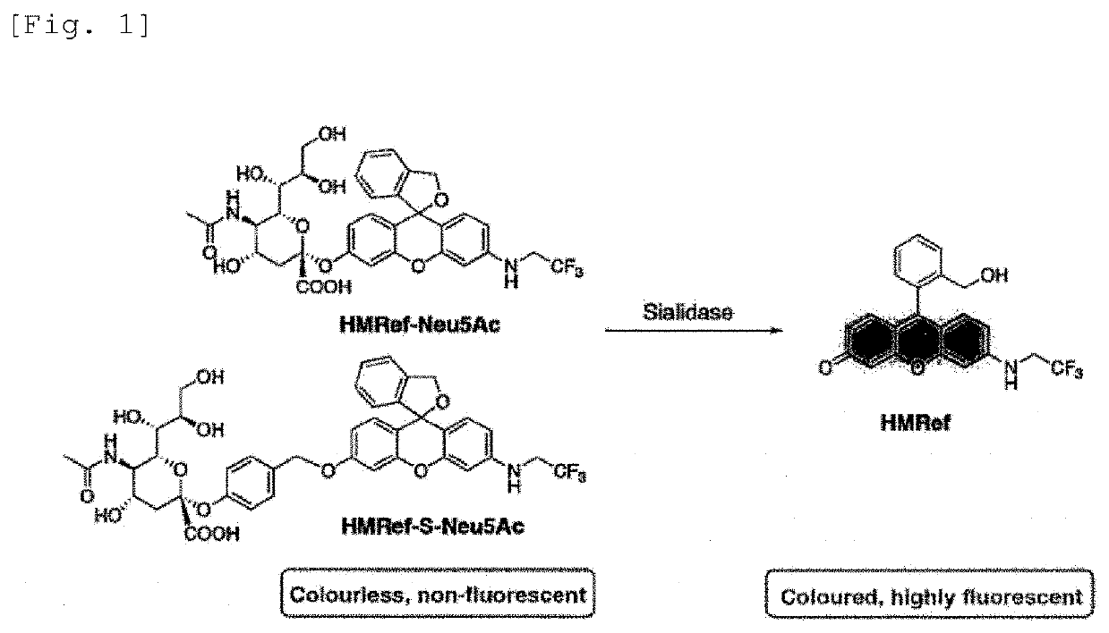 Fluorescent probe for detecting activation of sialidase