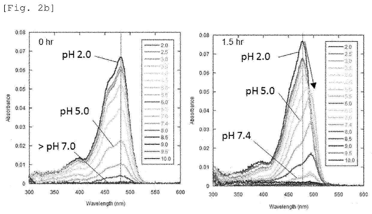 Fluorescent probe for detecting activation of sialidase