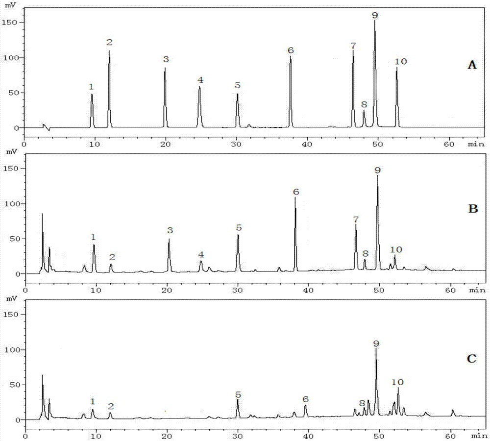 Pharmaceutical composition prepared on basis of accompanying principle and application thereof to drug treatment