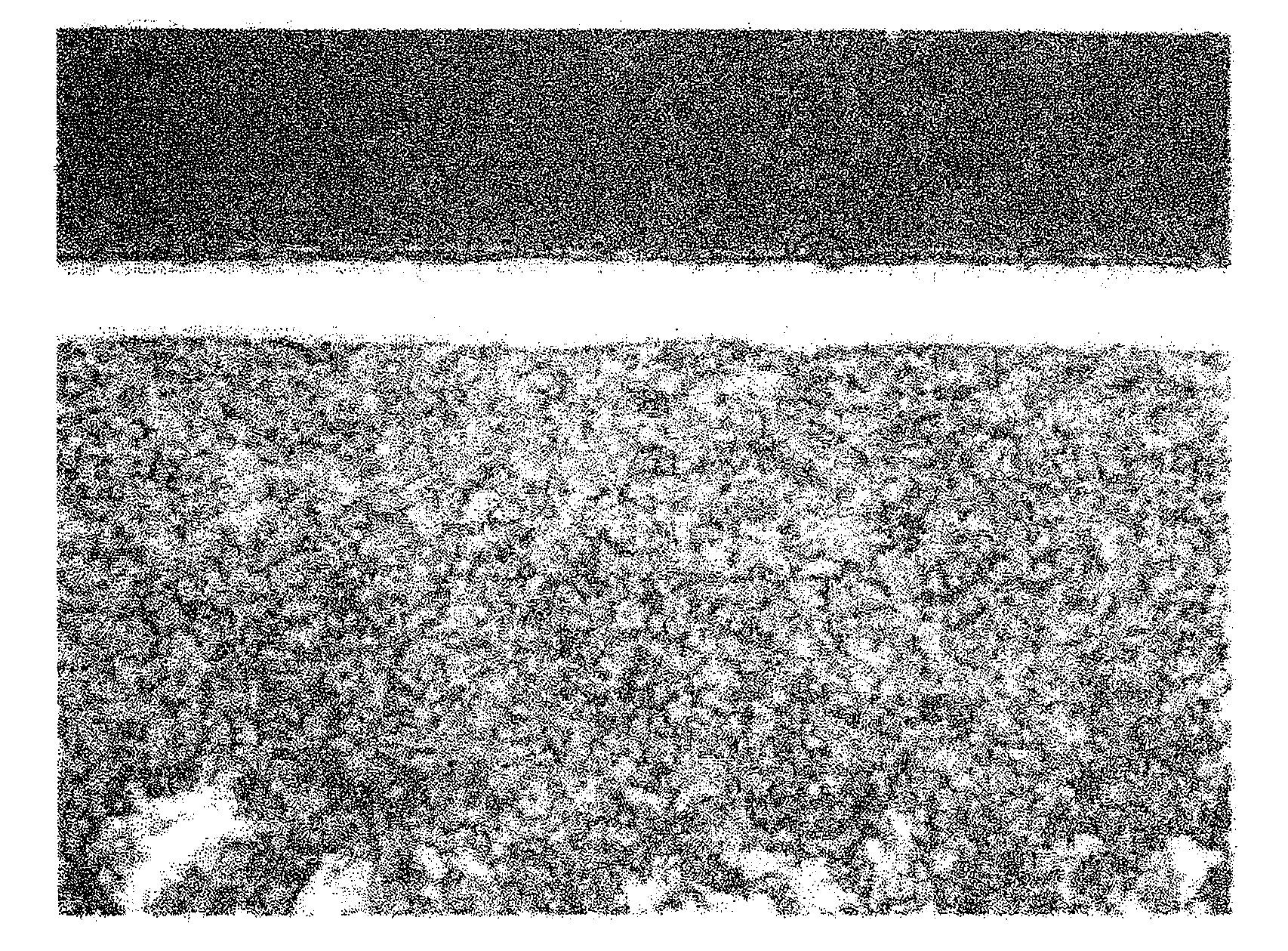 Method for quenching of steel member, quenched steel member, and agent for protecting quenched surface