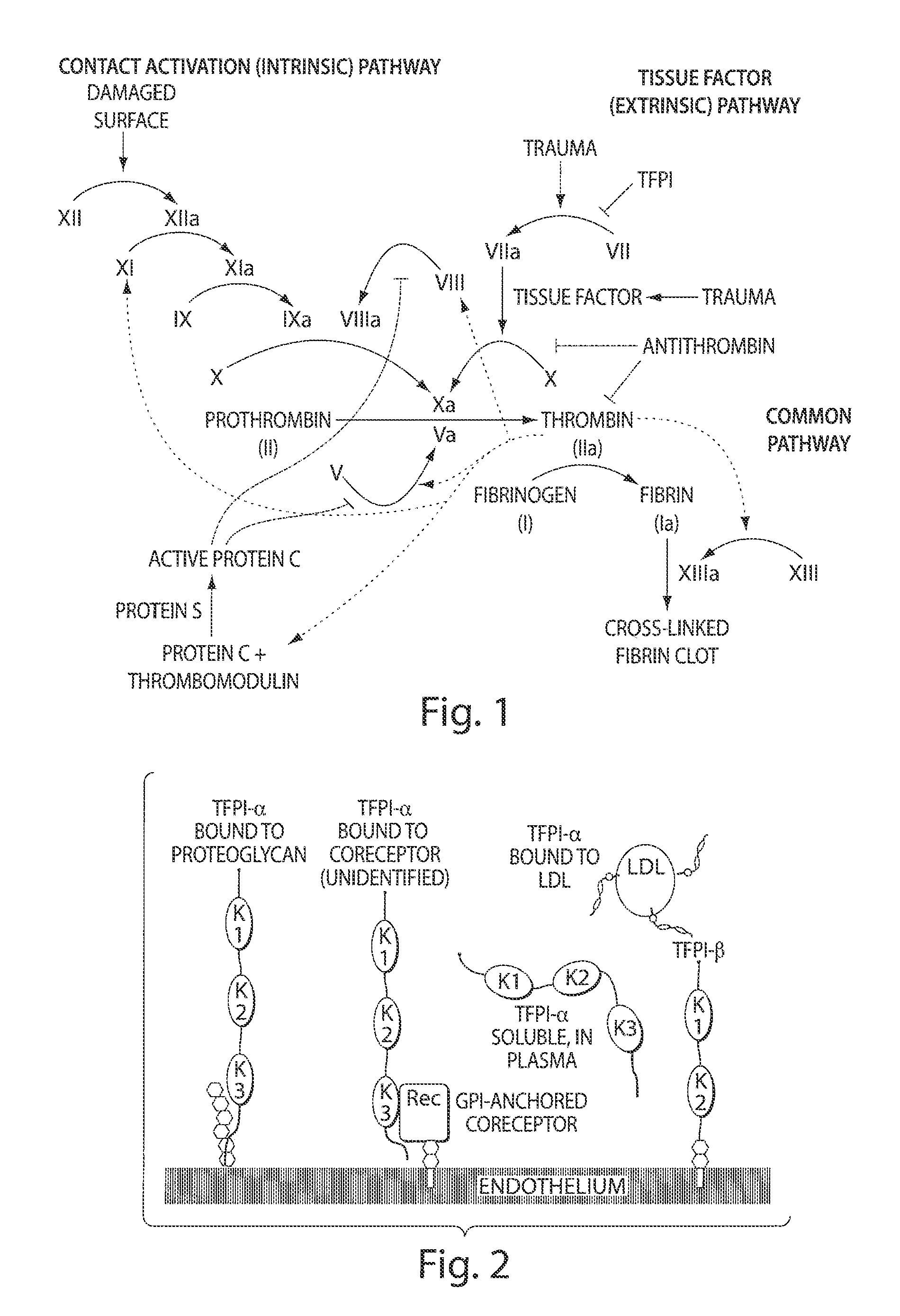 Aptamers to tissue factor pathway inhibitor and their use as bleeding disorder thereapeutics