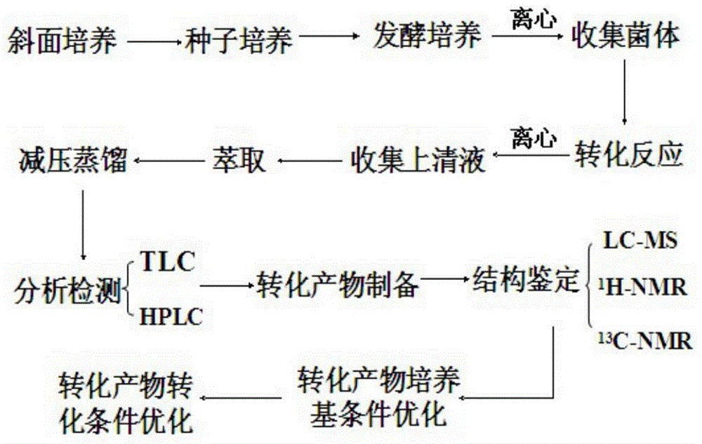 Curcumin derivative preparing method