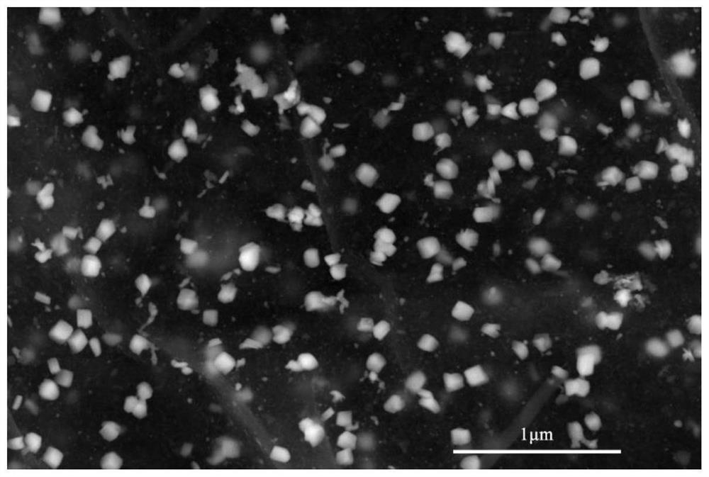 a rgo@pd  <sub>7</sub> the se  <sub>2</sub> Composite structure nanomaterials and their preparation methods and applications