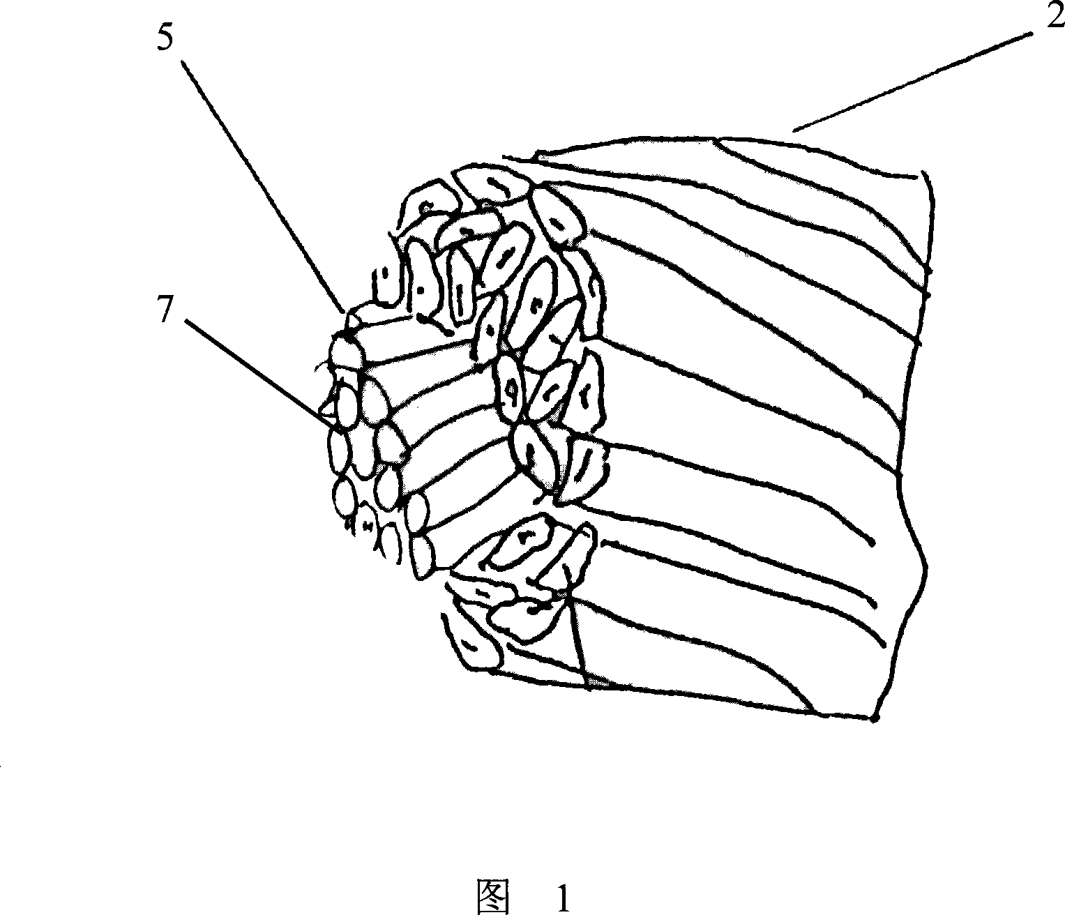 Hollow bulking spun silk and mixed reeling method