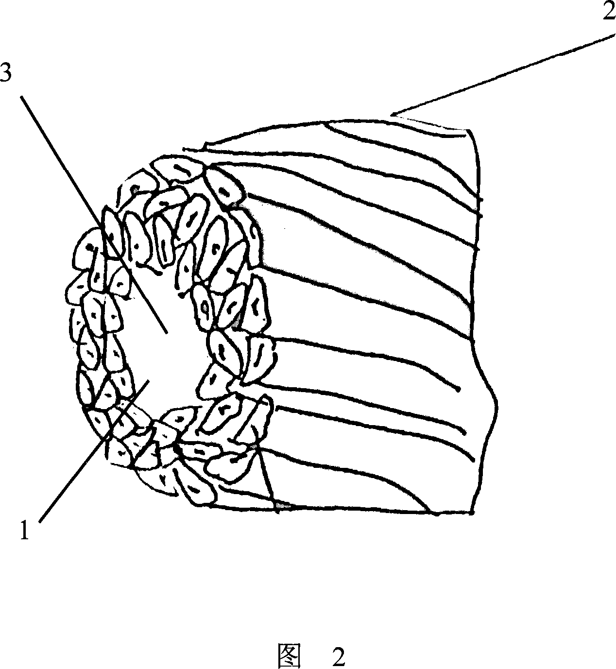 Hollow bulking spun silk and mixed reeling method