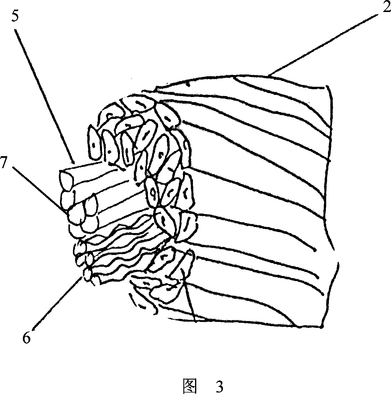 Hollow bulking spun silk and mixed reeling method