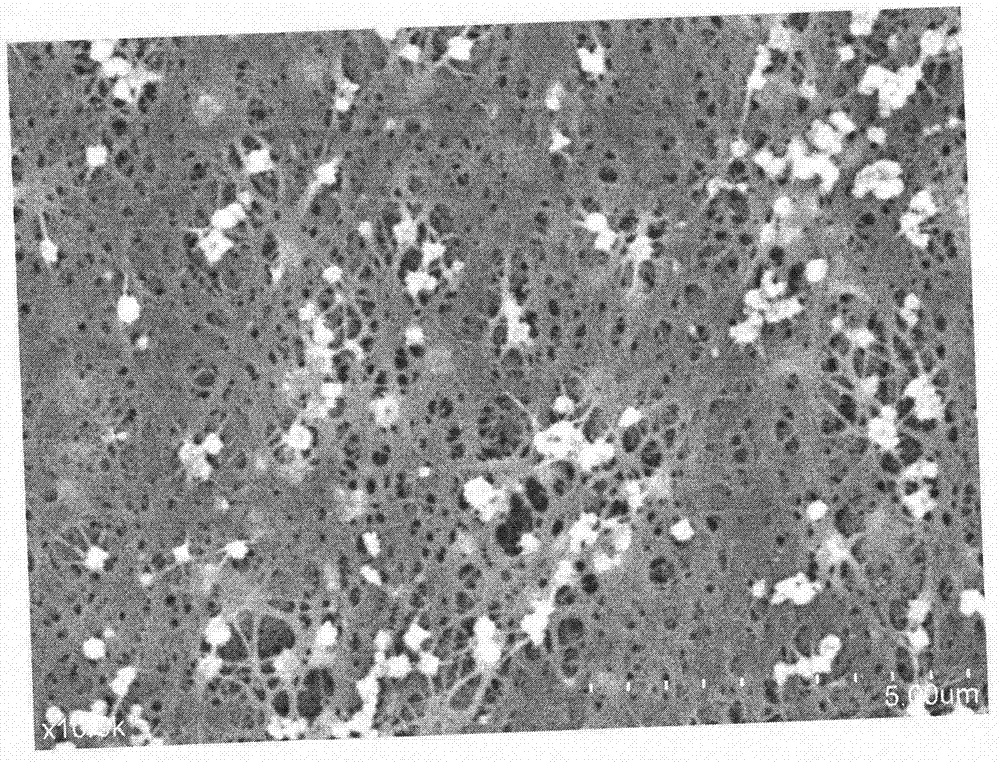 Heavy metal ion adsorption film and preparation method thereof